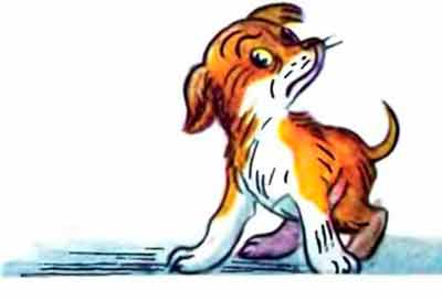 Щенок поднял голову, посмотрел — никого нет