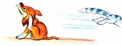 Кошка выпрыгнула в окно