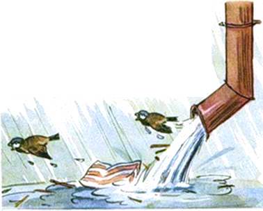 Кленовый лист. Иван Шутов