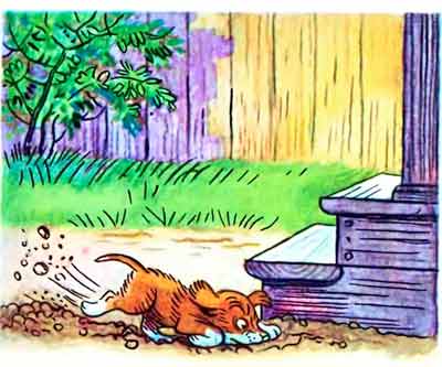 Щенок и быстро начал рыть под крыльцом всеми четырьмя лапами.