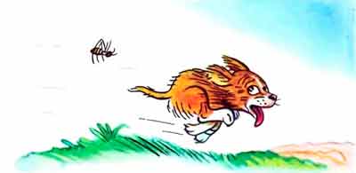 Летит и жужжит: