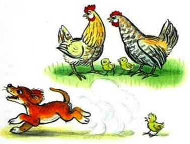 Как щенок Тявка учился кукарекать