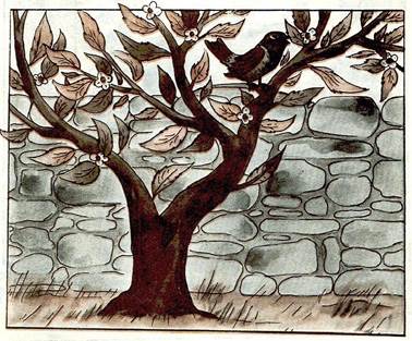 Афганская сказка. Вольная птица воробей и домашняя птица курица