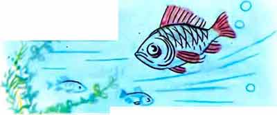 Рыба ничего не ответила