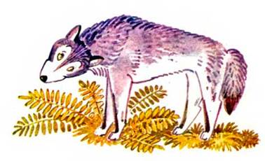 Волк и бурундуки. - Сергей Баруздин