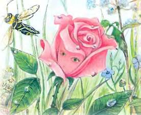 Оса и роза - Елена Михаленко