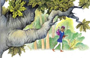 Сказка братьев Гримм. Чудаковатый музыкант