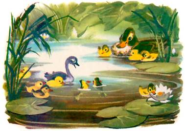 Тихий водоем