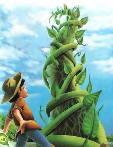 Бобовое зернышко