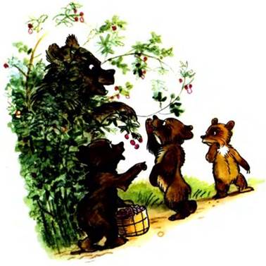 Чем помочь медведю? Михайло Стельмах