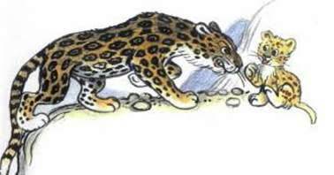 Непонятливый львёнок. Михаил Пляцковский