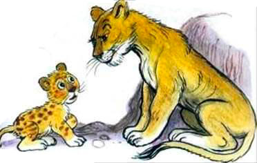 Непонятливый львёнок. Михаил Пляцковский