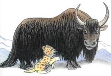 Непонятливый львёнок. Михаил Пляцковский