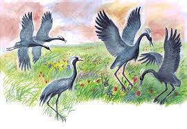 Журавль и аист
