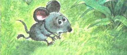 Даст мышонку отбежать и опять бедняжку - хвать!