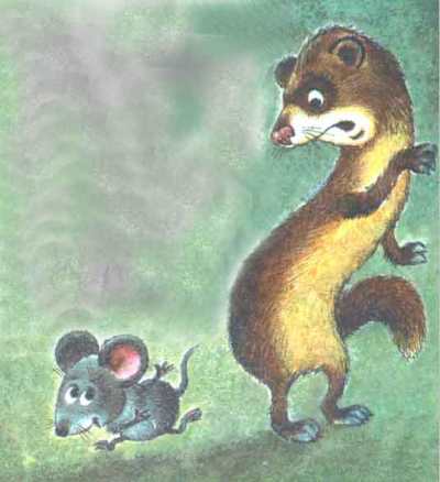Стой! - кричит хорёк мышонку