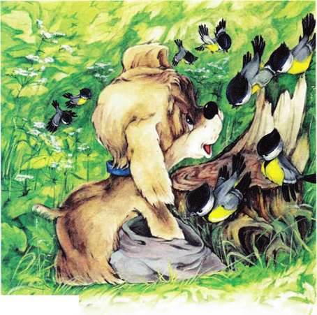 Как найти клад. - Екатерина Калганова