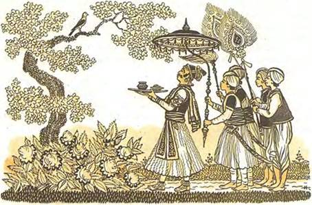 Индийская сказка. Завистливая сова