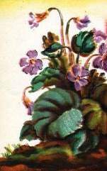 Примета - С. Я. Маршак. Стихи и сказки для детей