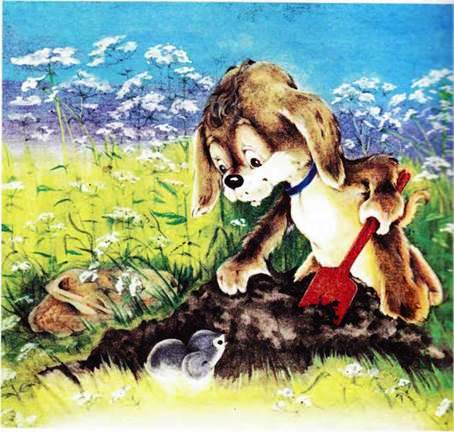 Как найти клад. - Екатерина Калганова