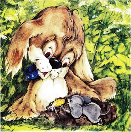 Как найти клад. - Екатерина Калганова