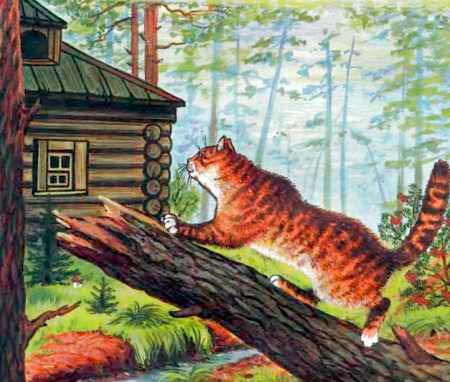 Кот и лиса. Русская народная сказка.