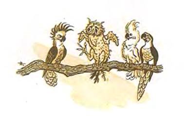 Завистливая сова