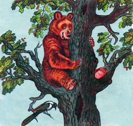 Кот и лиса. Русская народная сказка.