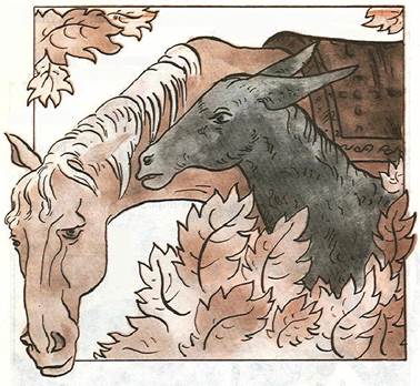 Афганская сказка. Поможешь ты — и тебе помогут