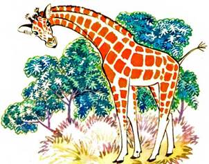 Жираф и тушканчик. - Сергей Баруздин