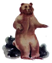 Медвежья трава