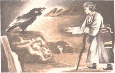 Козий хвостик