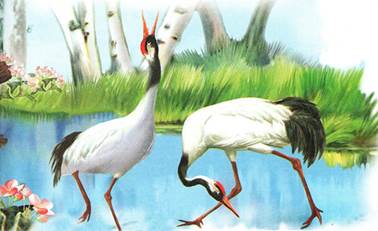 Синичкин календарь Май