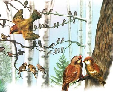 Синичкин календарь. Май. Виталий Бианки