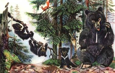 Пушкин Александр Сергеевич. Сказка о медведихе