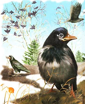 Синичкин календарь Март