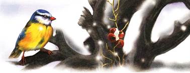 Синичкин календарь. Март. Виталий Бианки