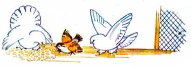 Воробей. - Сергей Баруздин