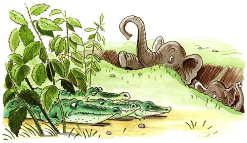 Тараканище. Крокодилы в крапиву забилися