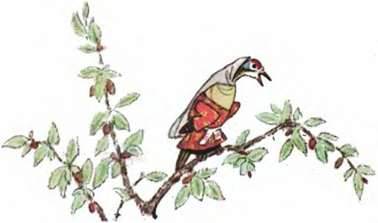 Даргинская сказка. Птица Куклухай