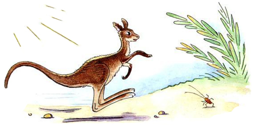 Тараканище. Прискакала кенгуру