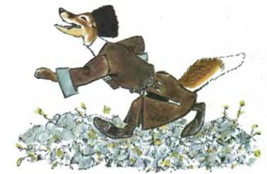 Даргинская сказка. Птица Куклухай