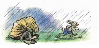 Мешок яблок. Владимир Сутеев. Cказки для самых маленьких