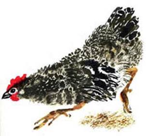 Цыпленок. Чуковский К. И.