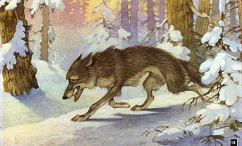 Приходит к ней волк 