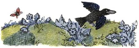 Украинская сказка. Про бедного человека и Вороньего царя