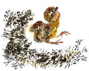 Цыпленок. Чуковский К. И.