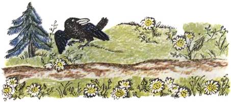 Украинская сказка. Про бедного человека и Вороньего царя