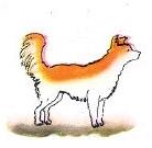 Три зверолова - С. Я. Маршак. Стихи и сказки для детей