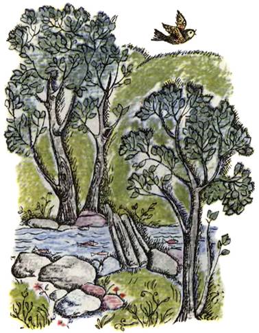 Про бедного человека и Вороньего царя